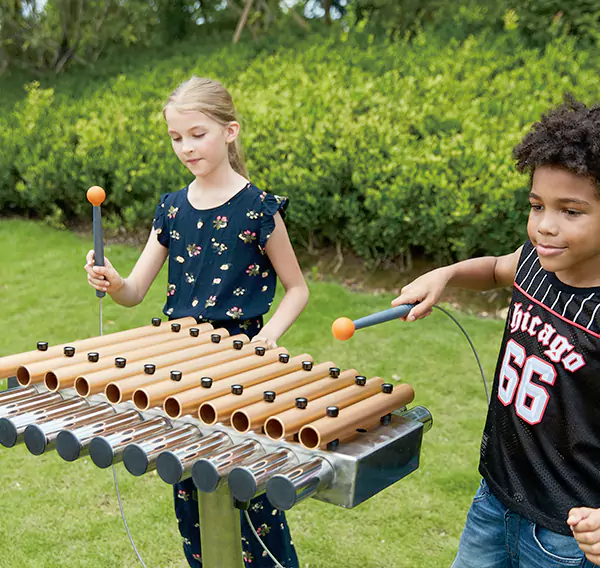 ธีมที่กำหนดเอง